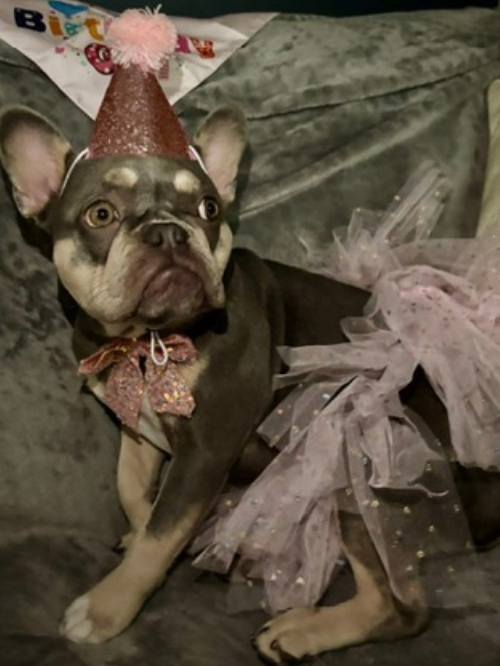 Pink Tulle Dog Tutu Dress with Matching Bow - Party Pet Outfit